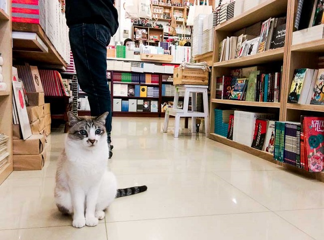 BooksActually bookstore singapore